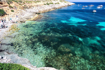 Snorkeling a Cala Minnola Levanzo nei posidonieti verde smeraldo durante il tour Egadi Sea Life