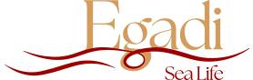 Egadi Sea Life
